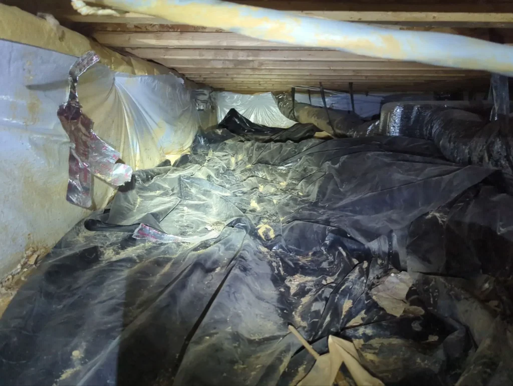 Crawl space before