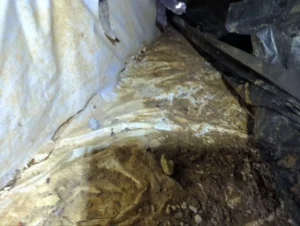 3-Mud in crawlspace before-optimized