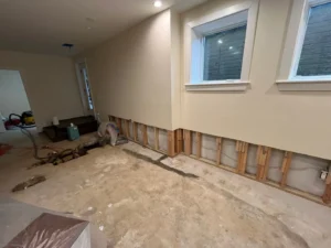 how basement was when we got called in, half torn up-optimized